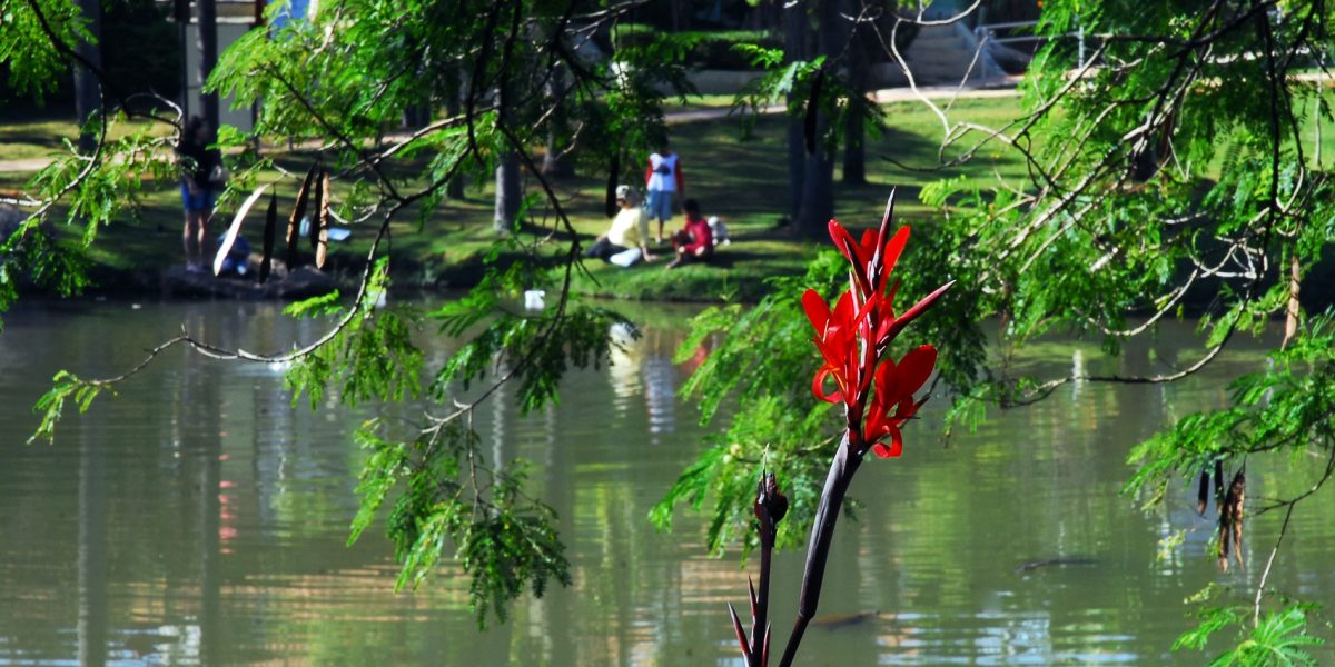 2012-05-23-parque-da-agua-vermelha-ft-zaqueu-proenca-022 2012-05-23-parque-da-agua-vermelha-ft-zaqueu-proenca-022