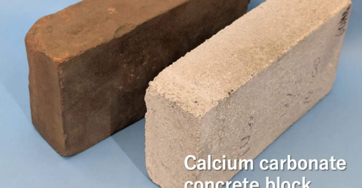 Captura de tela 2024-08-20 075847