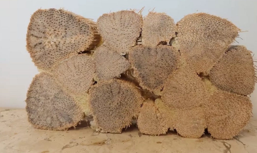 Captura de tela 2024-08-21 080344