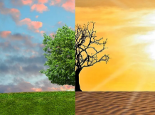 Captura de tela 2025-10-31 080843 Captura de tela 2025-10-31 080843